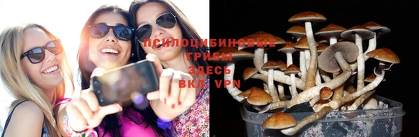 крисы Липки