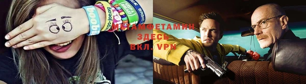 крисы Липки