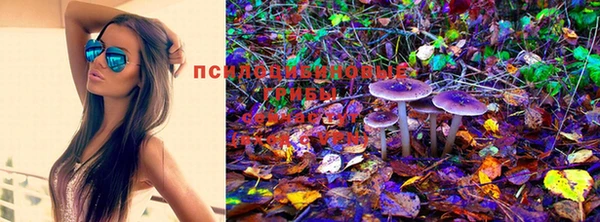 2c-b Лихославль