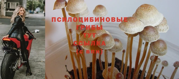 2c-b Лихославль